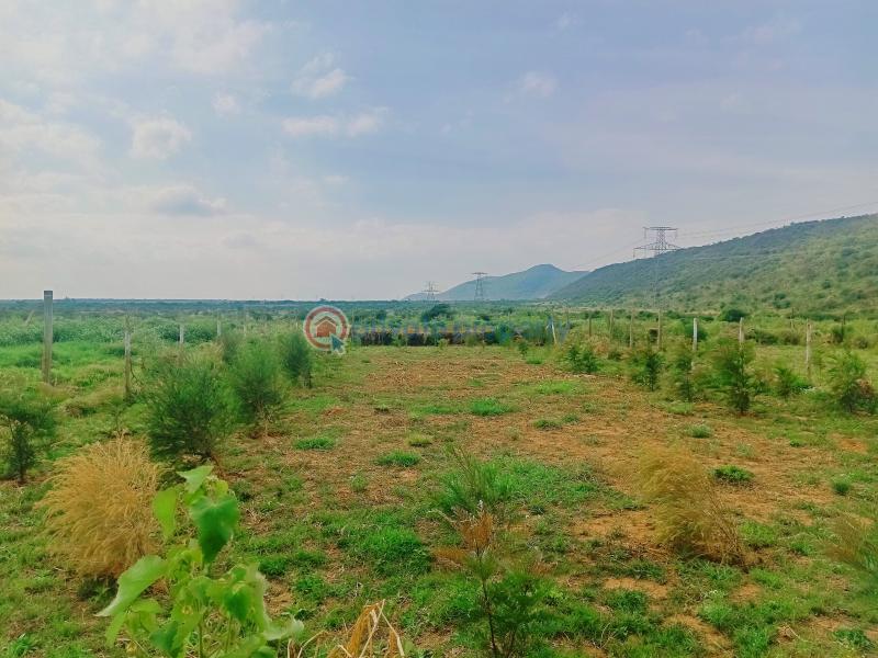 Residential Land For Sale Ndiuni Nguirubi Area Kikuyu Kiambu - 3