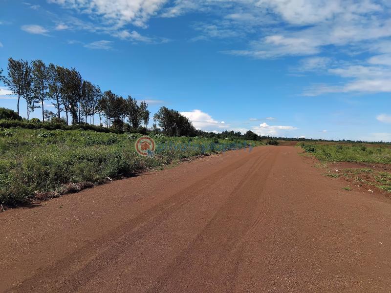 Land For Sale Juja Kiambu - 3