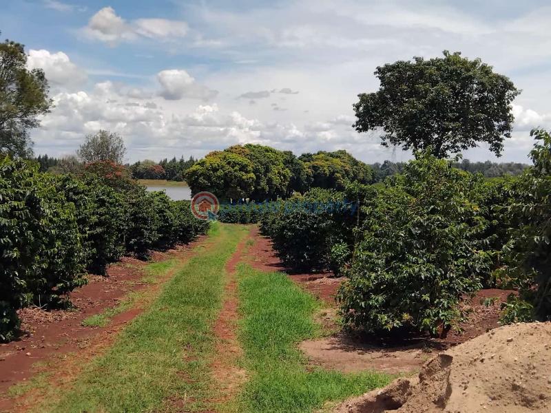 Land For Sale Juja Kiambu - 5