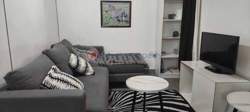 1 bedroom House For Rent Westlands Nairobi - 12