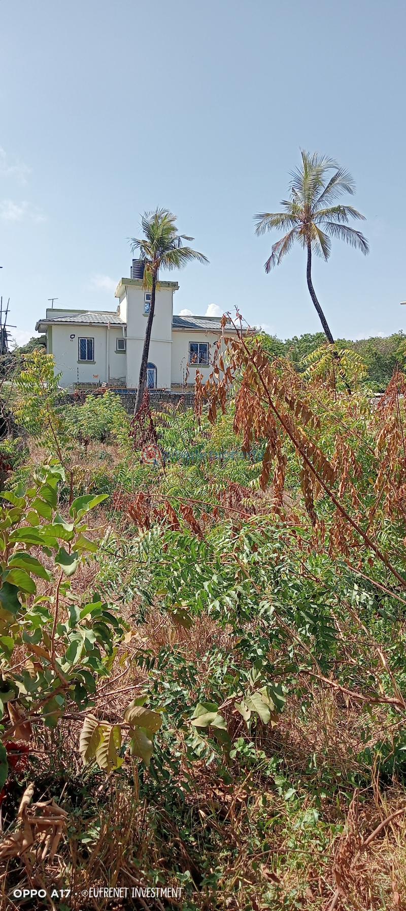 Land For Sale Off Pastor Lai Jcc Tarmac Road Jcc Church Bamburi Mombasa - 4