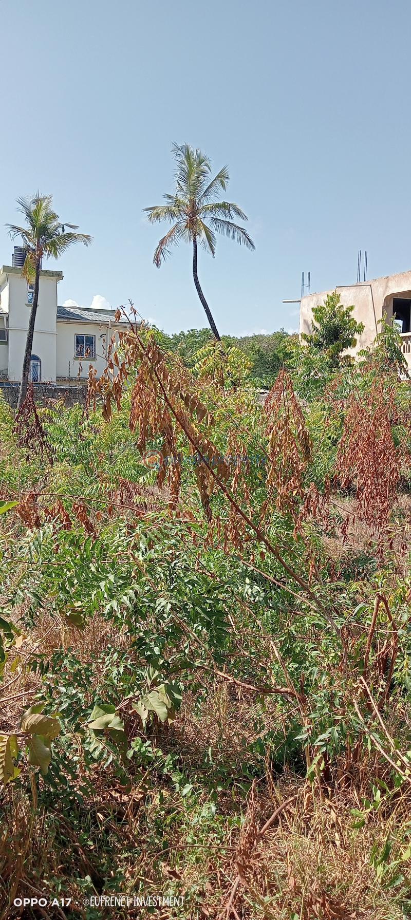 Land For Sale Off Pastor Lai Jcc Tarmac Road Jcc Church Bamburi Mombasa - 3