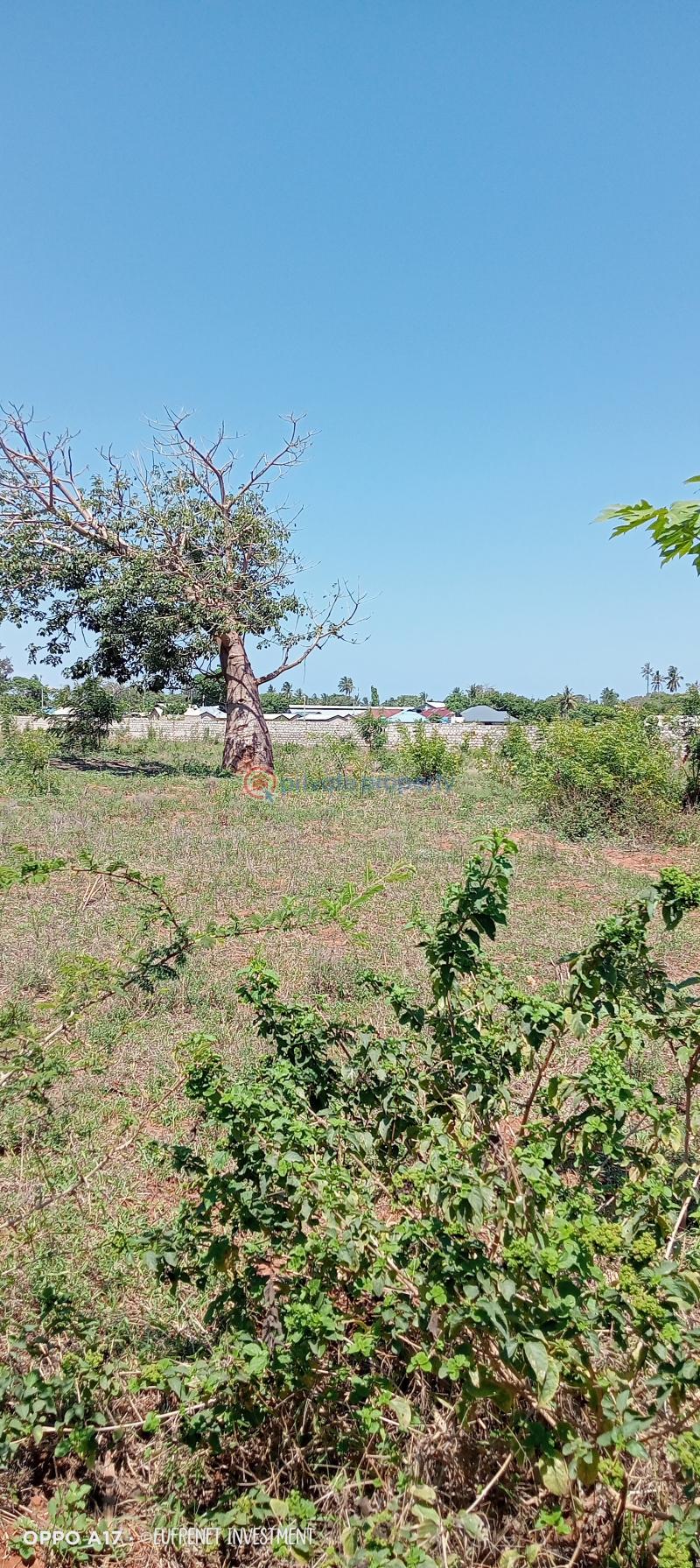 Land For Sale Mtwapa Kilifi - 6