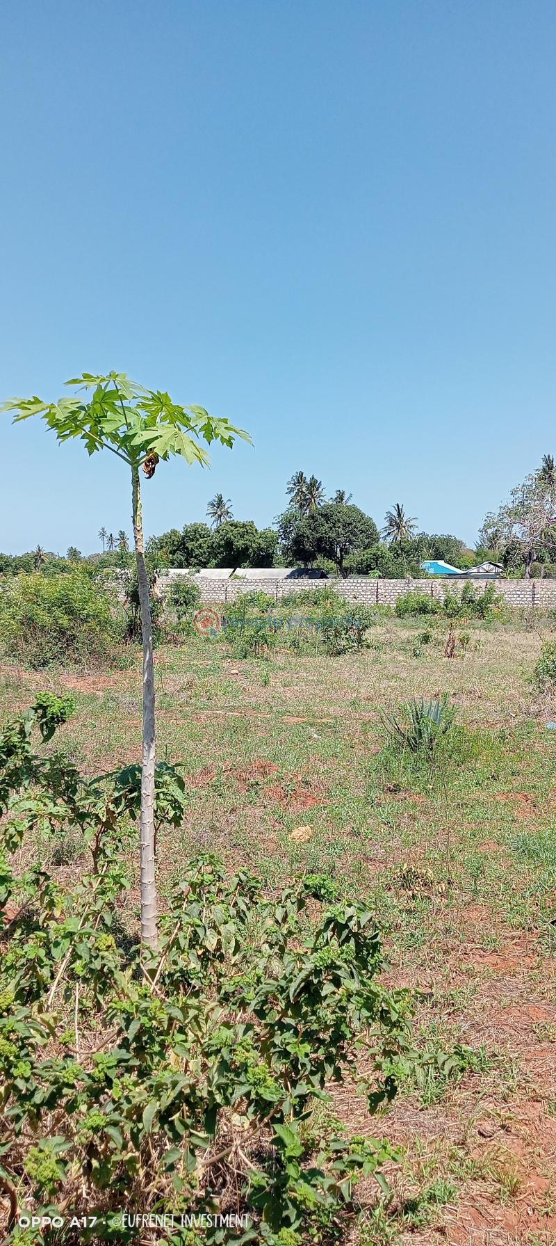 Land For Sale Mtwapa Kilifi - 7