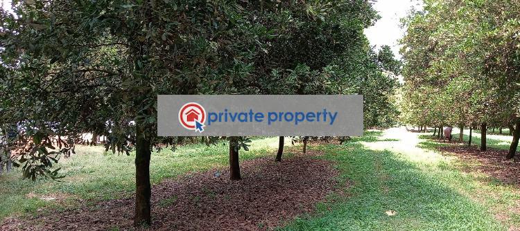 Residential Land For Sale Thika Kiambu - 4