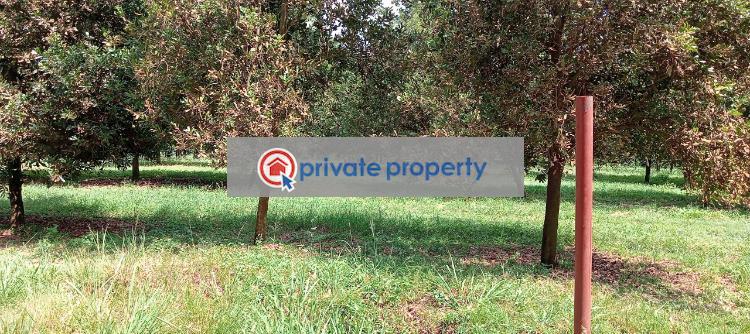 Residential Land For Sale Thika Kiambu - 3