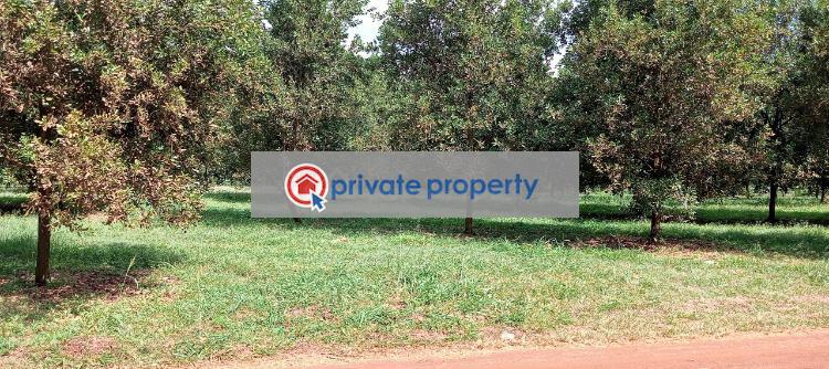 Residential Land For Sale Thika Kiambu - 2