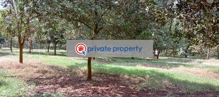 Residential Land For Sale Thika Kiambu - 1