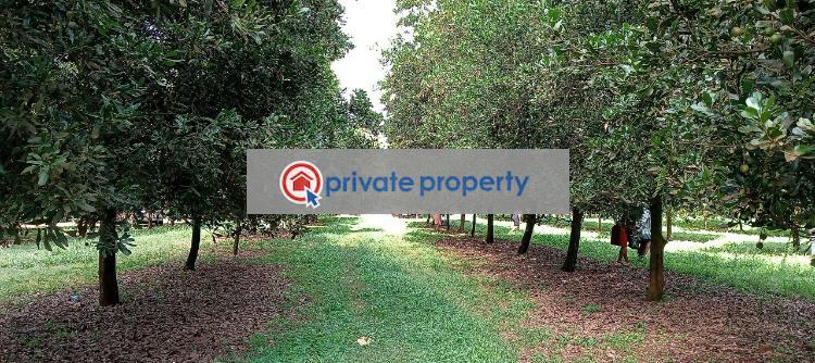 Residential Land For Sale Thika Kiambu - 5