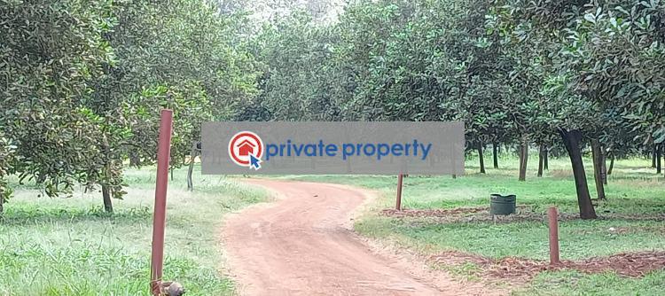 Residential Land For Sale Thika Kiambu - 6