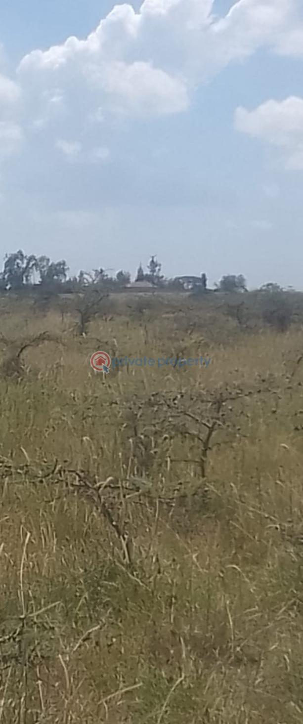 Land For Sale Sholinke Off Pipeline Road Kaputiei North Kajiado - 4