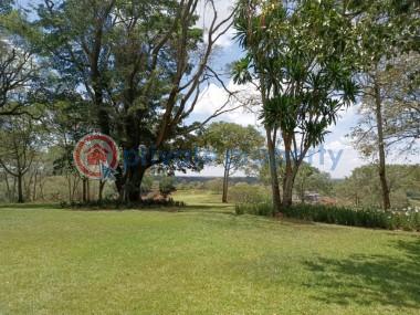 6 bedroom Townhouse For Sale Migaa Golf Estate, Kiambu Ruaka Kiambu - 35