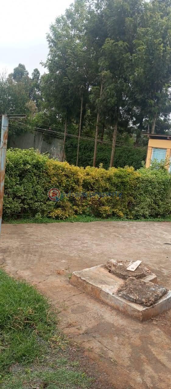 4 bedroom House For Rent Gikambura Kikuyu Kiambu - 3