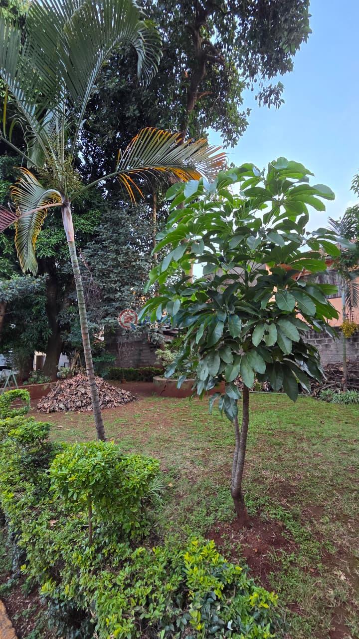 4 bedroom Apartment For Sale 2nd Parklands Avenue Off Limuru Road Parklands Nairobi - 28