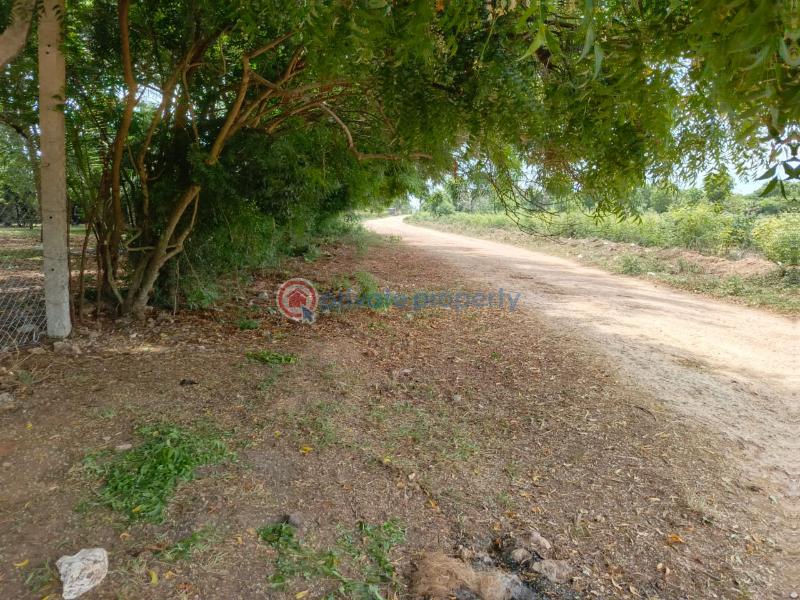 Land For Sale Kikambala (south Of Sand N Sand)beach Hotel Mtwapa Kilifi - 5