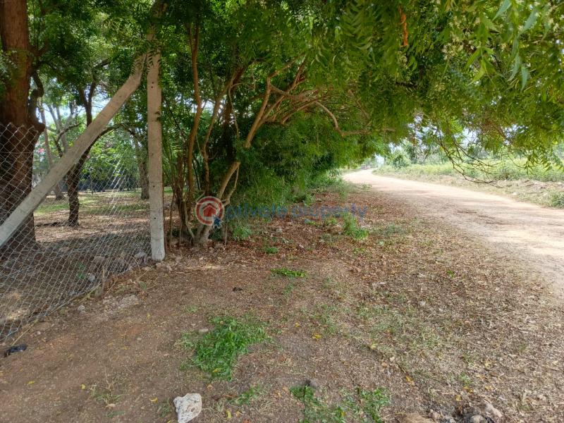 Land For Sale Kikambala (south Of Sand N Sand)beach Hotel Mtwapa Kilifi - 7