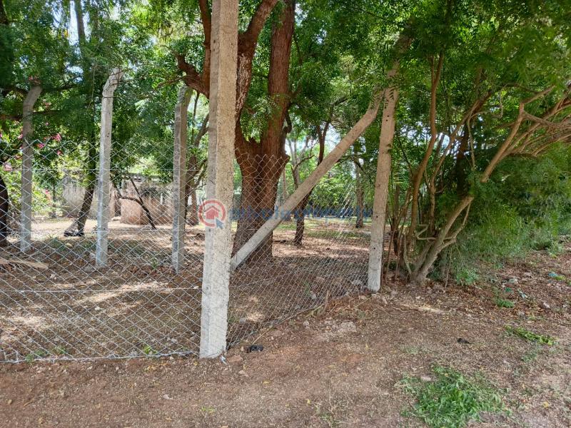 Land For Sale Kikambala (south Of Sand N Sand)beach Hotel Mtwapa Kilifi - 4