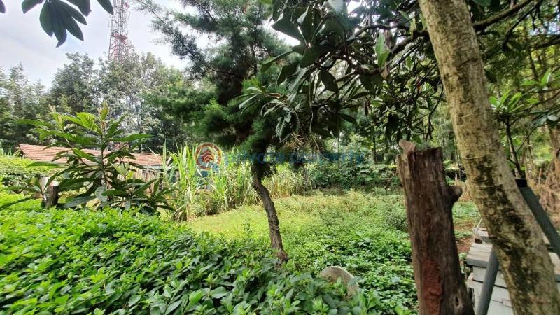 4 bedroom House For Sale Nairobi Karen  - 4