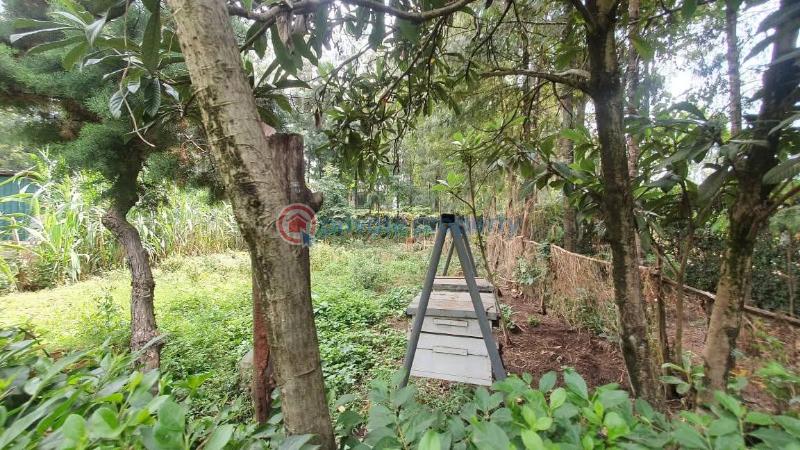 4 bedroom House For Sale Nairobi Karen  - 7
