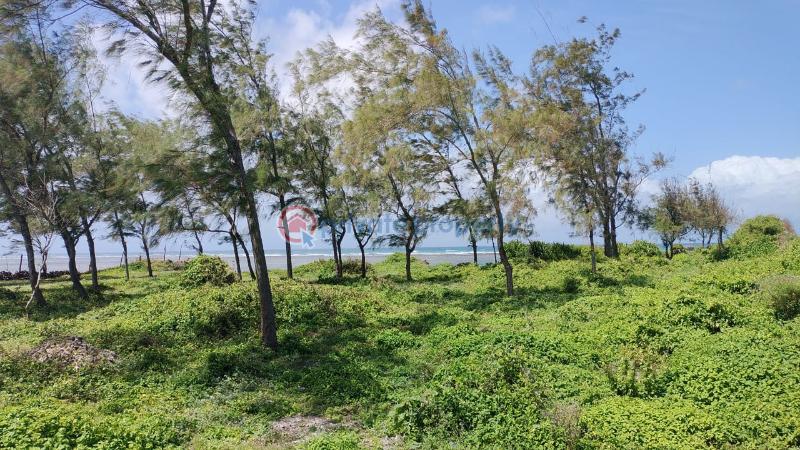 Land For Sale Jacaranda Kanani Road Ocean Front Watamu Kilifi - 2