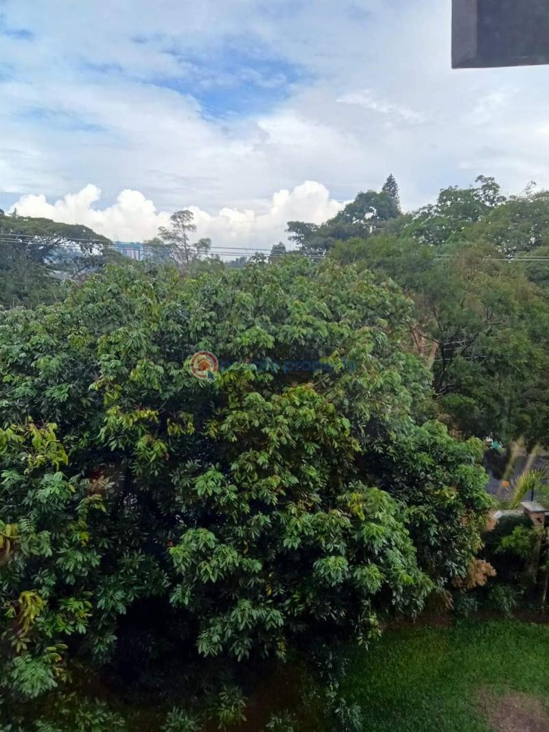 5 bedroom House For Rent Lavington Nairobi - 43