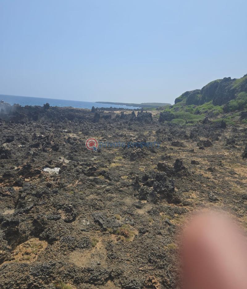 Land For Sale Takaungu Mtondia Sokoni Kilifi - 2