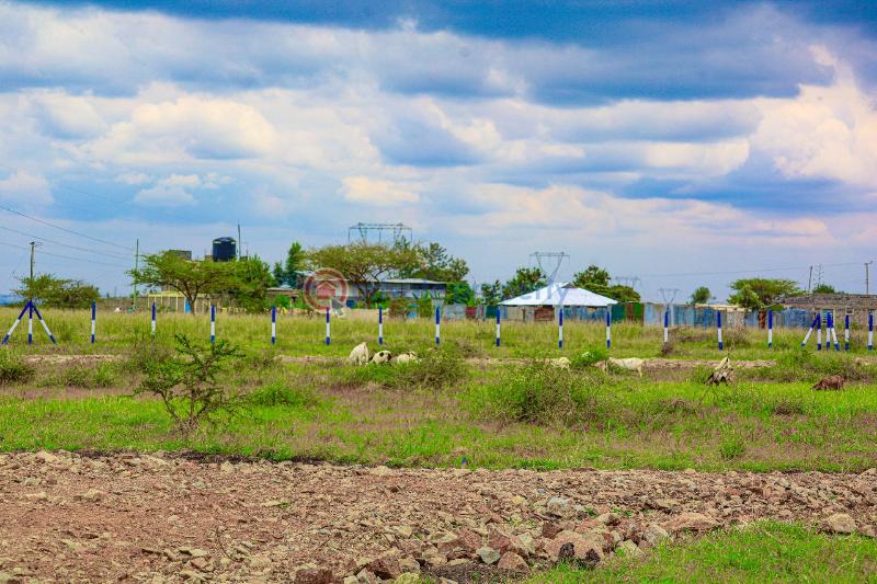 Residential Land For Sale kamakis Ruiru Kiambu - 1