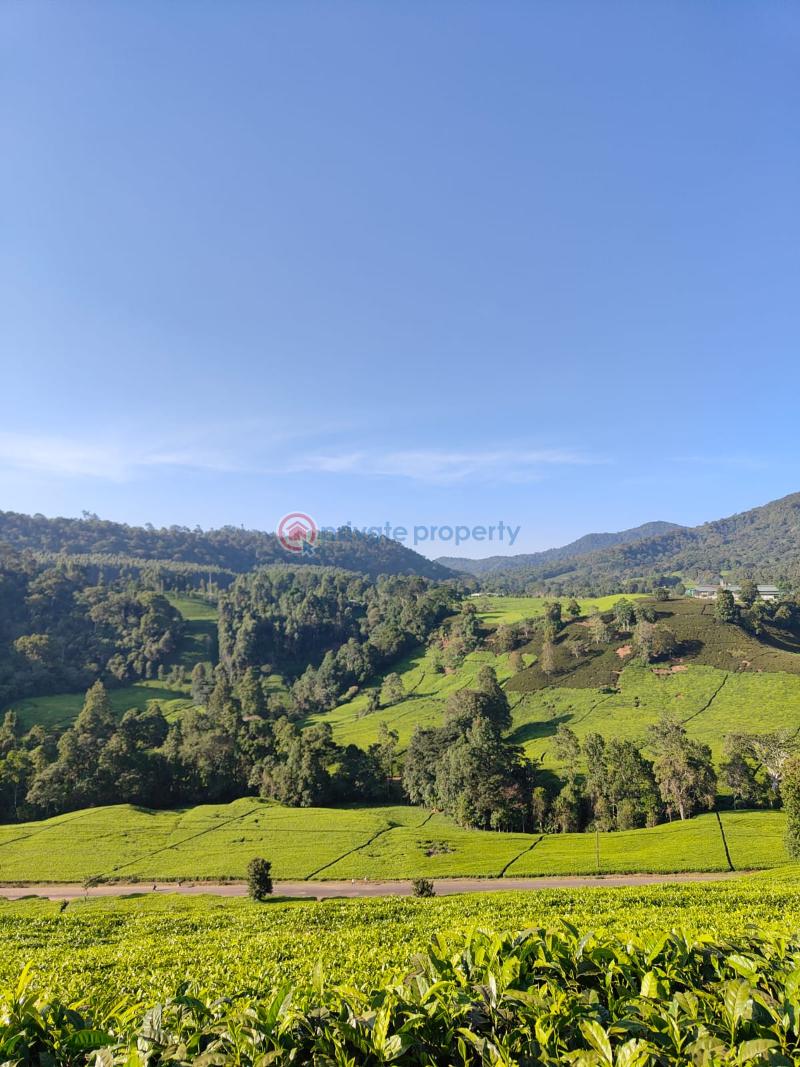 5 bedroom Apartment Short let Meru Near Meru National Park Timau Meru - 12