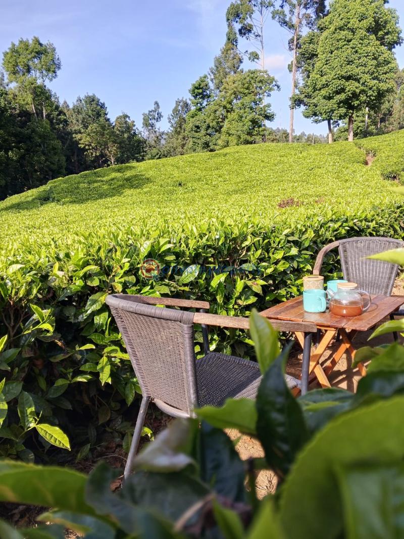 5 bedroom Apartment Short let Meru Near Meru National Park Timau Meru - 25