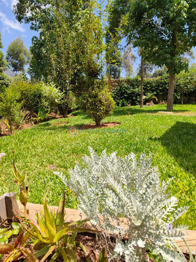 5 bedroom Apartment Short let Meru Near Meru National Park Timau Meru - 10