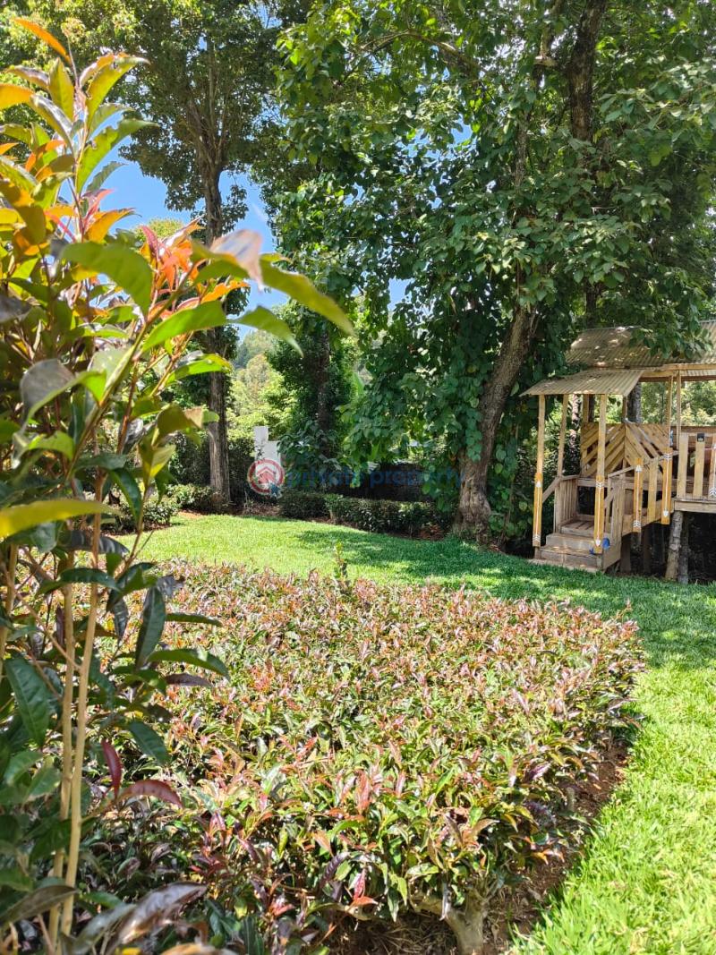 5 bedroom Apartment Short let Meru Near Meru National Park Timau Meru - 14