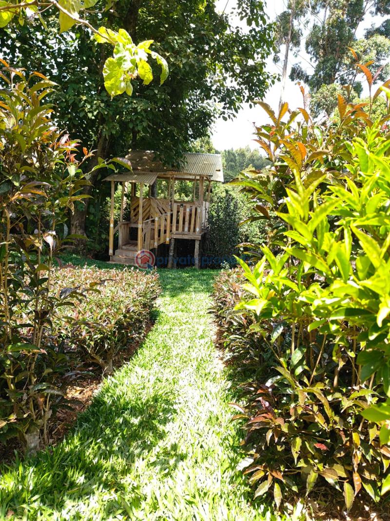 5 bedroom Apartment Short let Meru Near Meru National Park Timau Meru - 11
