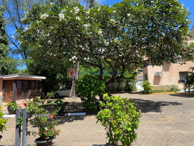Hotel / Guest House For Sale Nyali Beach Area 2nd Row From The Beach Nyali Mombasa - 3
