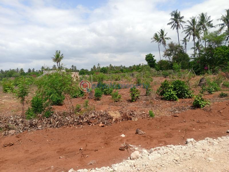 Land For Sale Tezo Kilifi  - 5