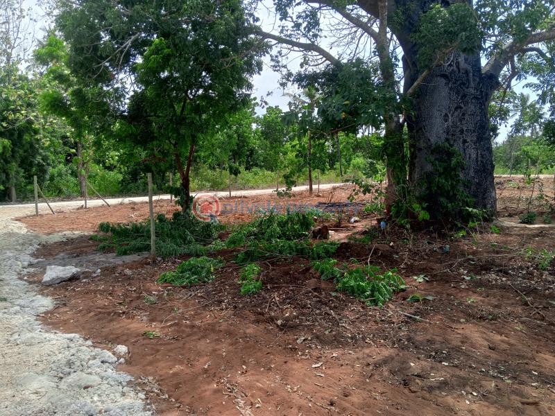 Land For Sale Tezo Kilifi  - 6