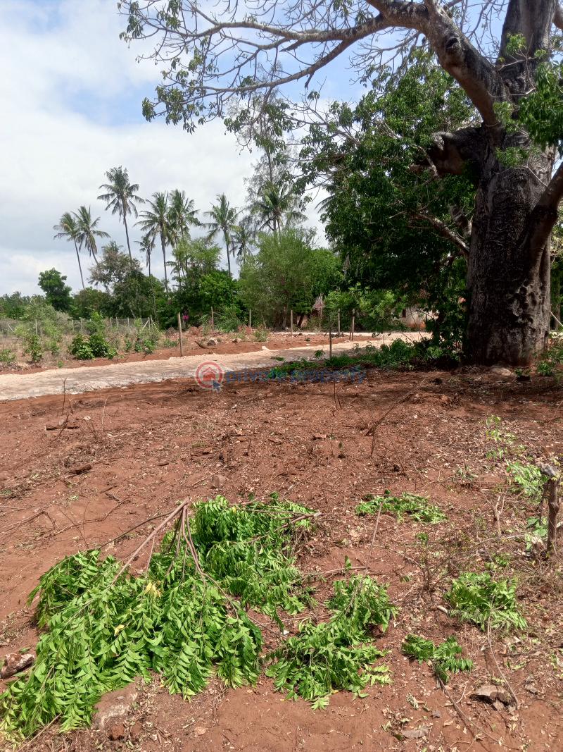 Land For Sale Tezo Kilifi  - 8