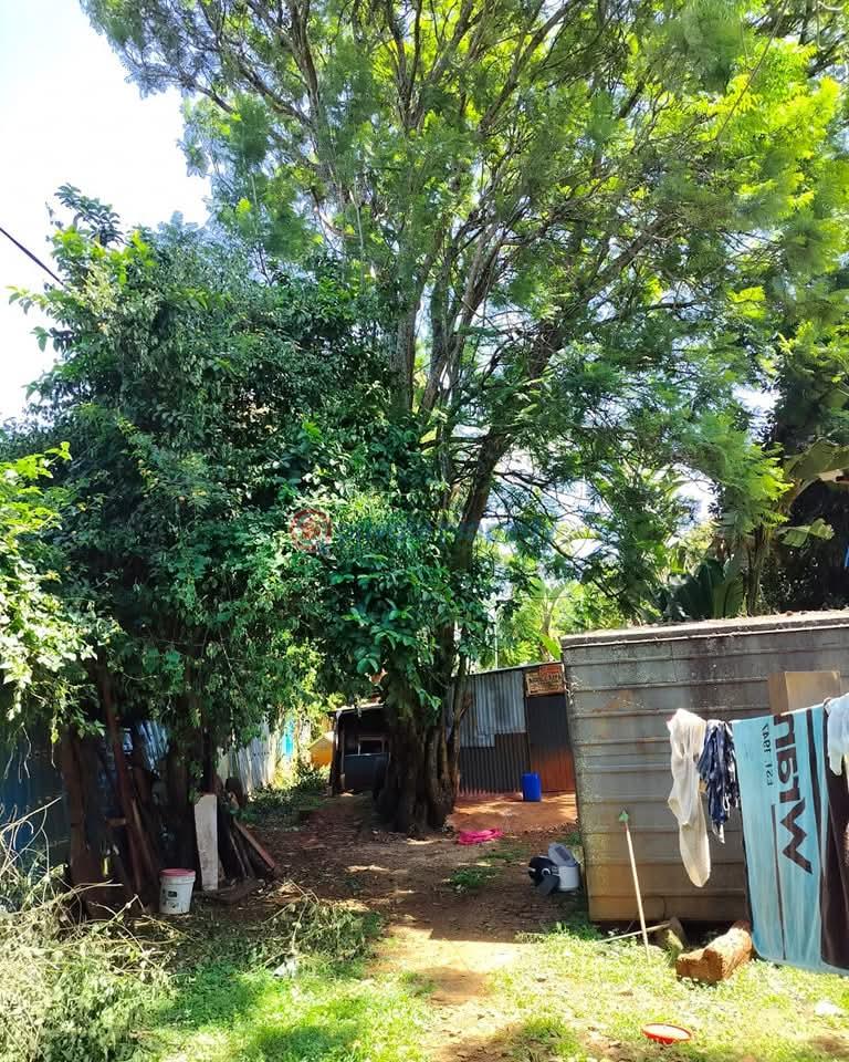 Land For Sale Karen Nairobi - 3