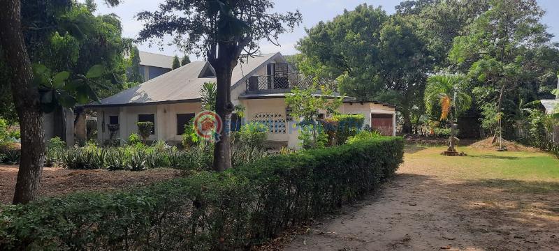 Land For Sale Kanamai Stage Mombasa - Kilifi Road Mtwapa  - 4
