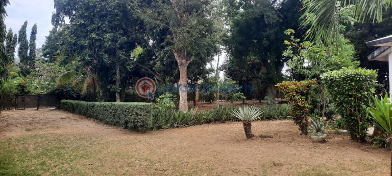 Land For Sale Kanamai Stage Mombasa - Kilifi Road Mtwapa  - 11