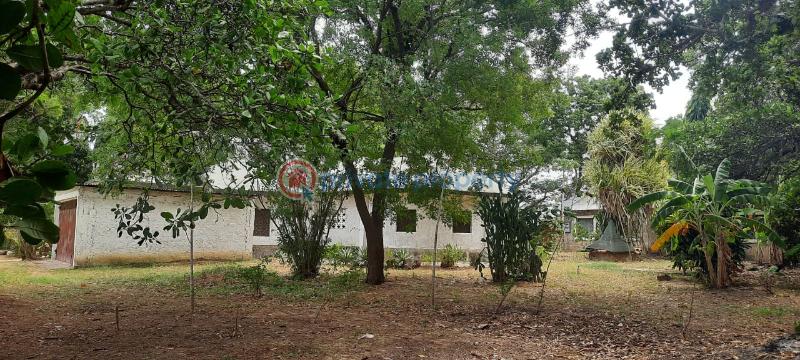 Land For Sale Kanamai Stage Mombasa - Kilifi Road Mtwapa  - 12