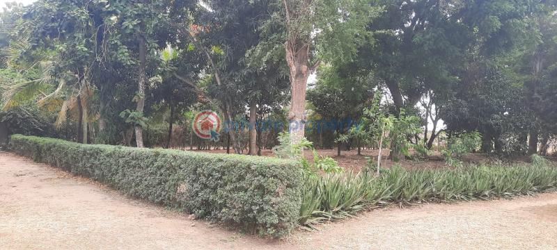 Land For Sale Kanamai Stage Mombasa - Kilifi Road Mtwapa  - 10