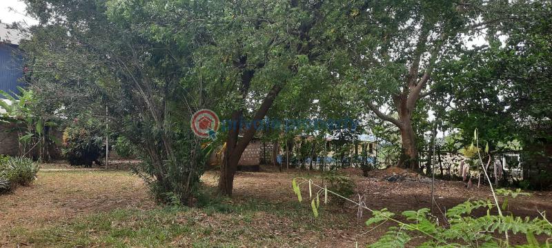 Land For Sale Kanamai Stage Mombasa - Kilifi Road Mtwapa  - 13