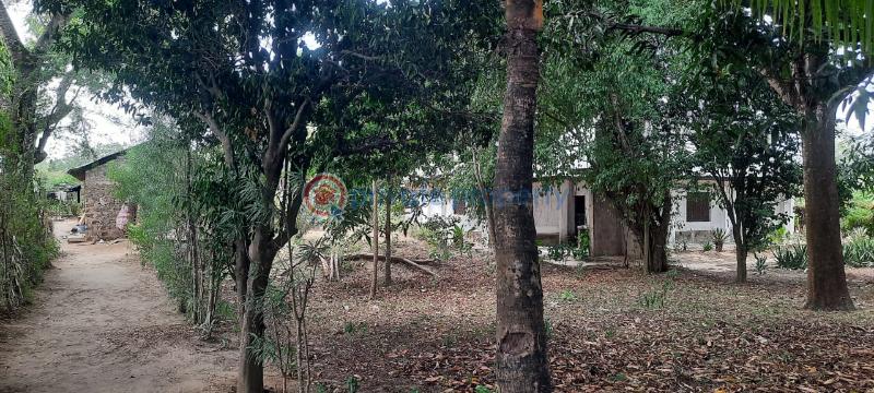Land For Sale Kanamai Stage Mombasa - Kilifi Road Mtwapa  - 2