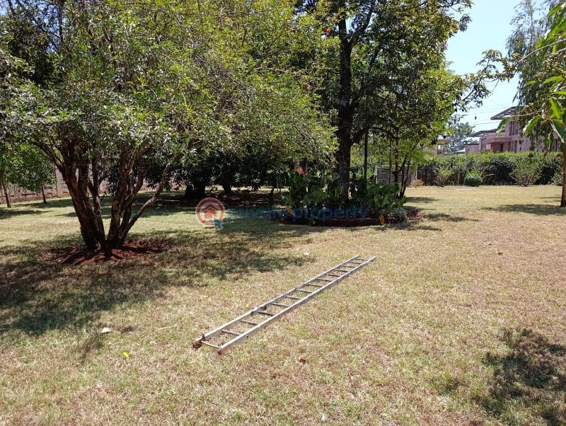 2 bedroom Apartment For Rent Lavington Nairobi - 6