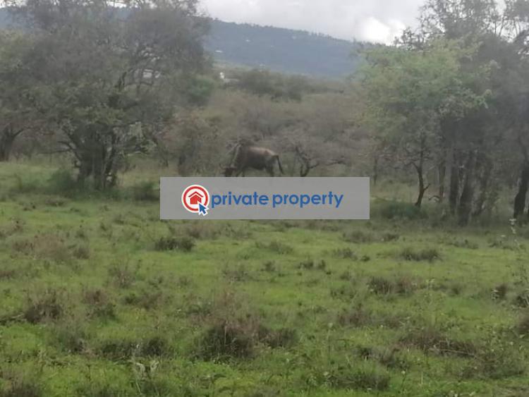 Residential Land For Sale &nbsp;maanzoni Athi River Machakos - 2