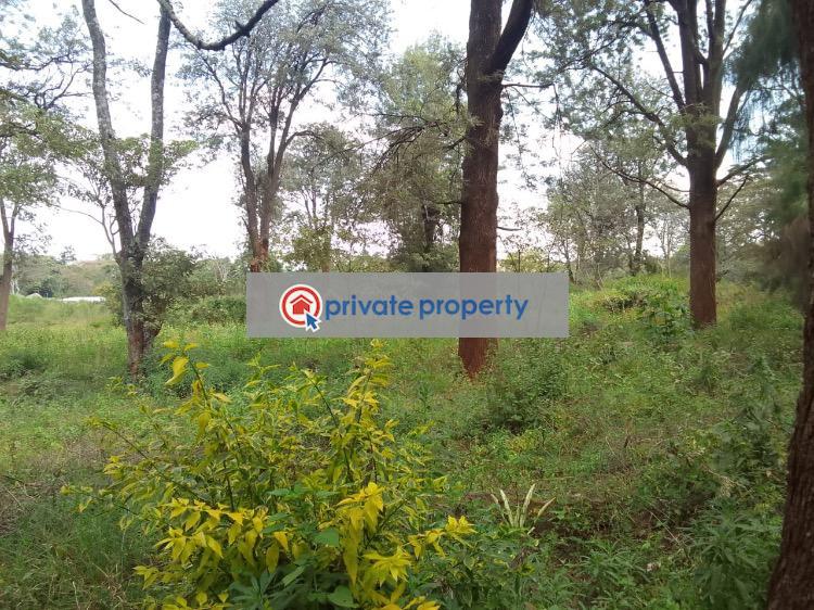 Mixed use Land For Sale &nbsp;karen Kcb Karen Nairobi - 1