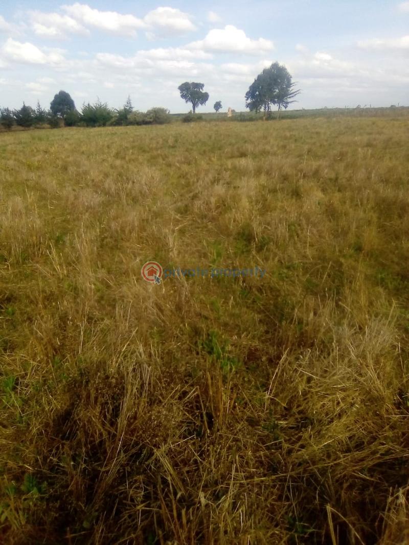 Mixed use Land For Sale Nyahururu Town. North Kinangop Nyandarua - 0