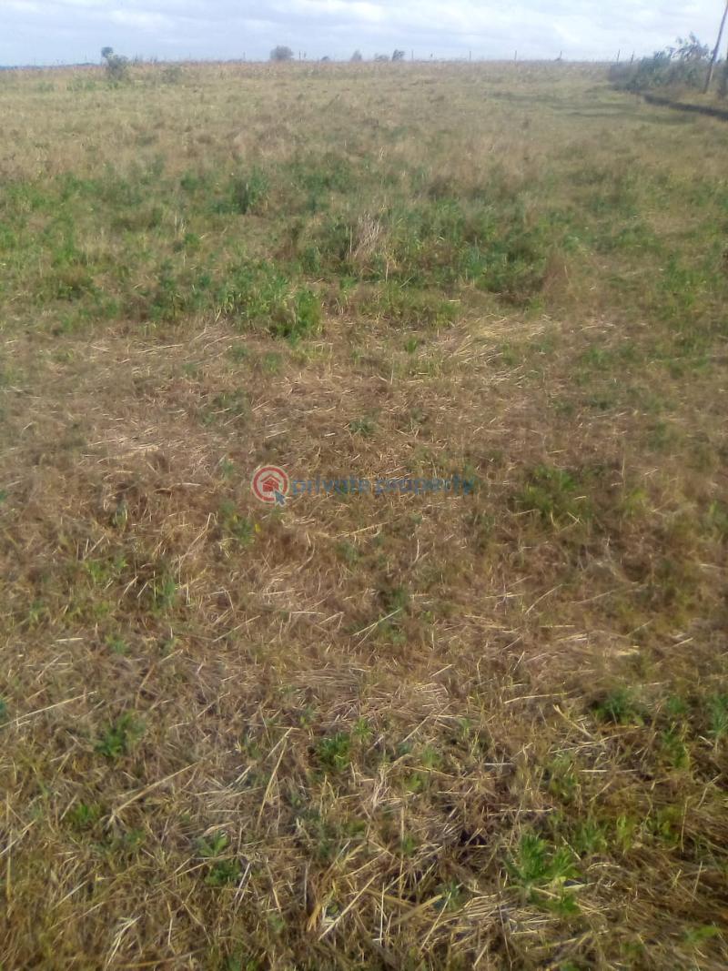Mixed use Land For Sale Nyahururu Town. North Kinangop Nyandarua - 2