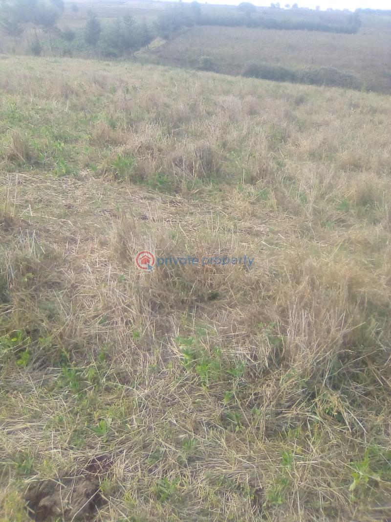 Mixed use Land For Sale Nyahururu Town. North Kinangop Nyandarua - 5