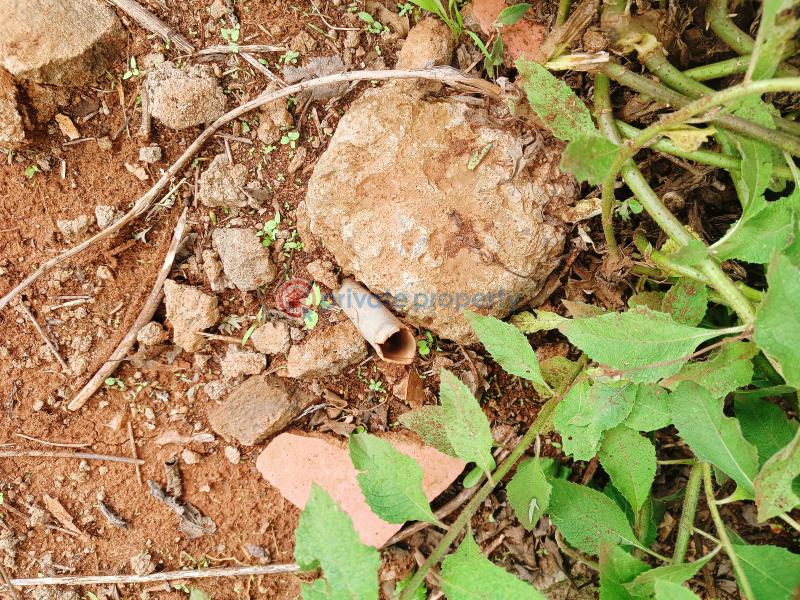 Residential Land For Sale Gikambura Riu Nderi Kikuyu Kiambu - 3